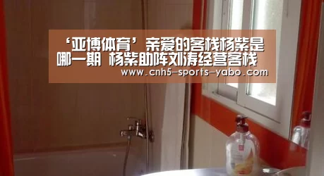 ‘亚博体育’亲爱的客栈杨紫是哪一期 杨紫助阵刘涛经营客栈(图1)