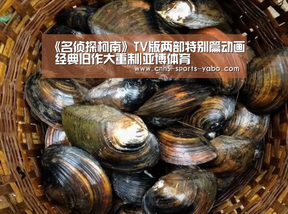 亚博体育官网